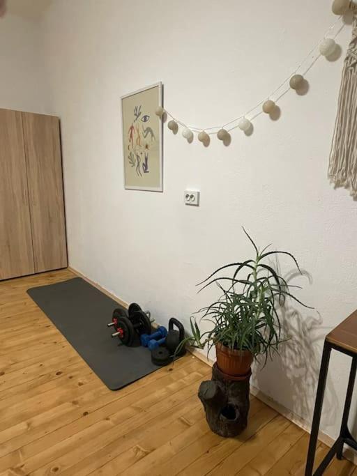 Lovely And Super Central Two-bedroom *